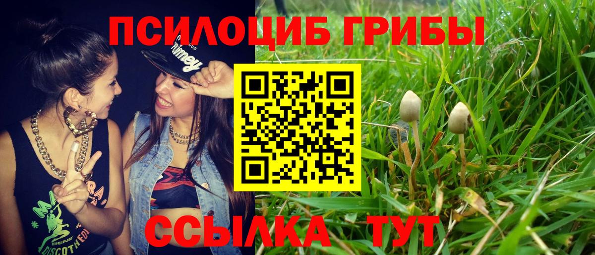 Ржев  Галлюциногенные грибы мухоморы  сколько стоит  Псилоцибиновые грибы GOLDEN TEACHER  Вход с VPN 